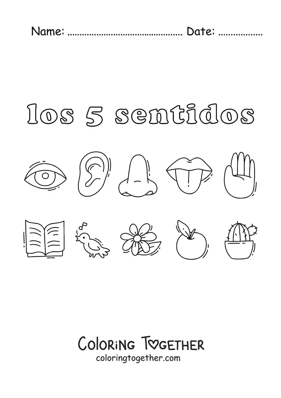 Coloring page of the organs of the five human senses with examples