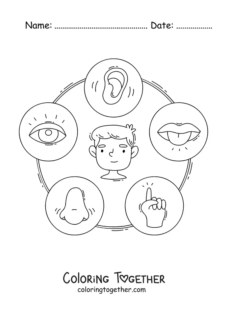 Coloring page of an educational worksheet with cartoons of the five senses