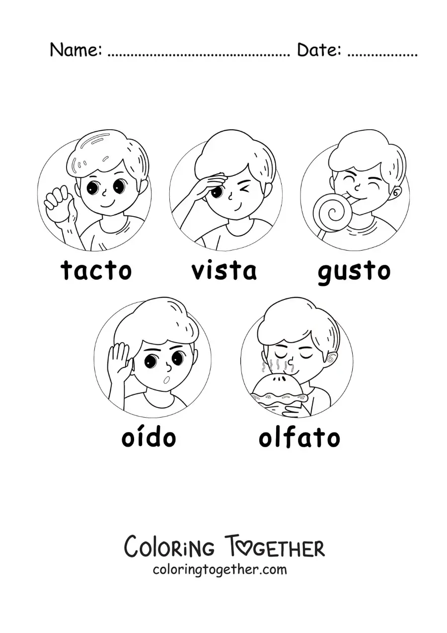 Coloring page of cartoons of the five senses for kids