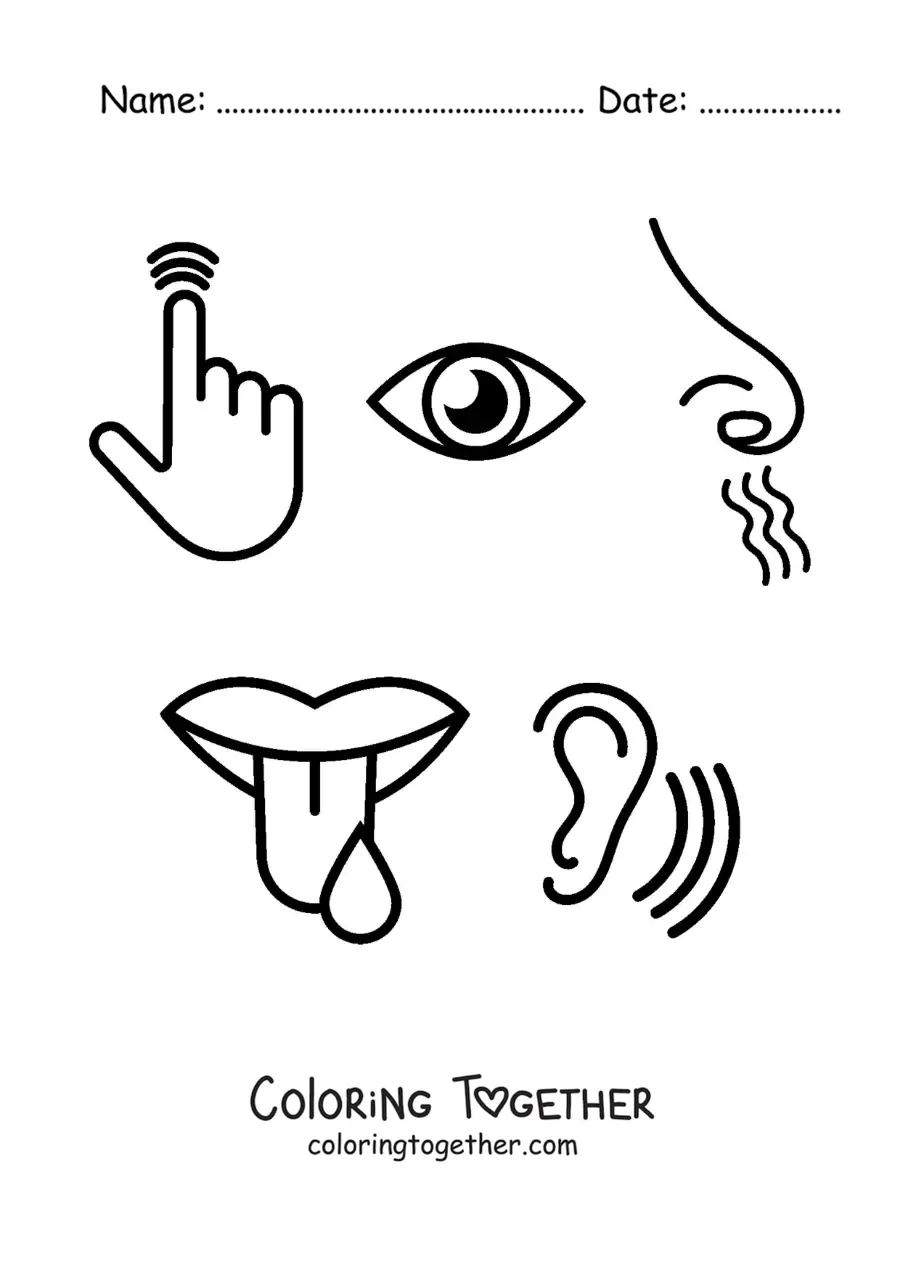 Coloring page of symbols of the five senses
