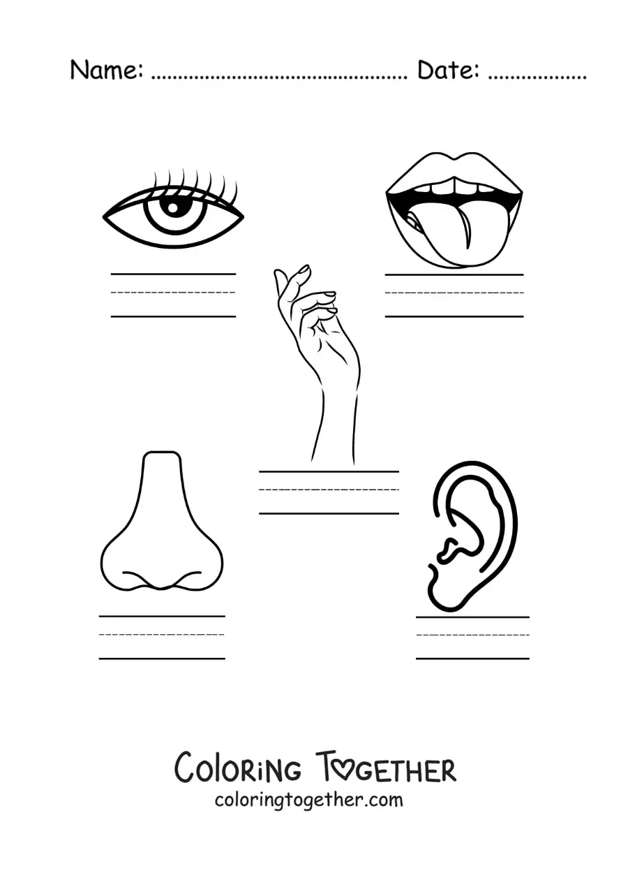 Coloring page of an educational activity about the five senses