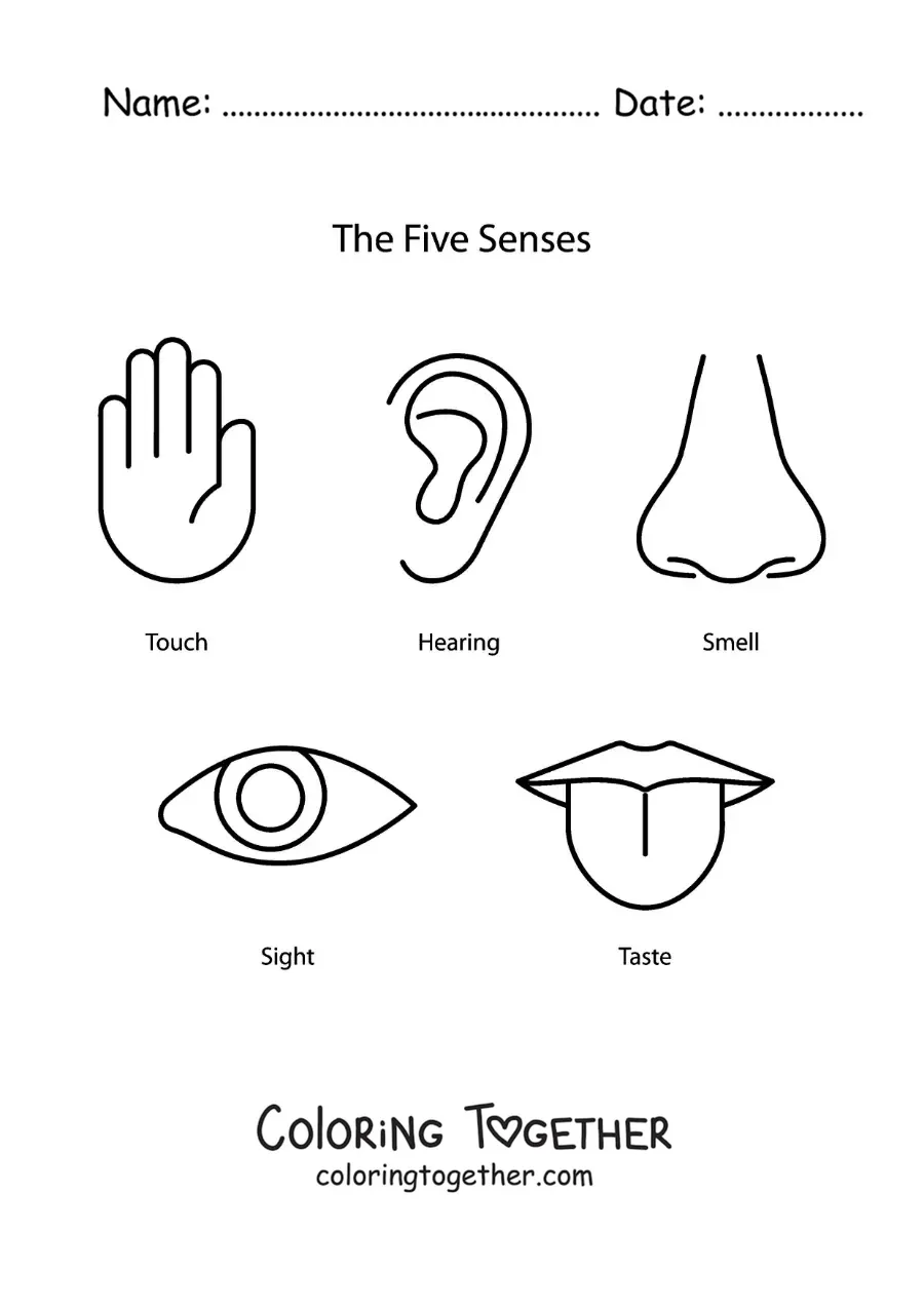 Coloring page of the five senses in English for kids