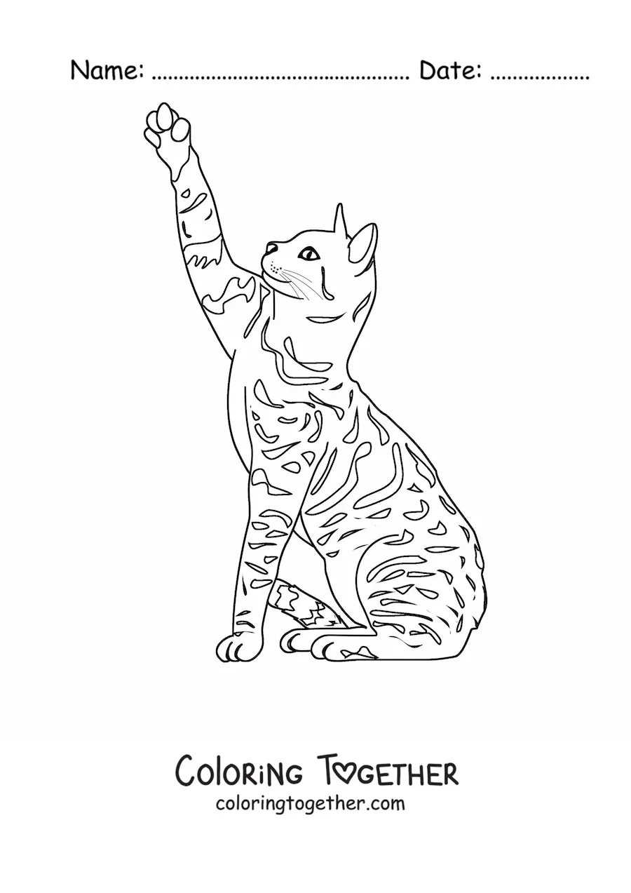 Coloring page of a realistic spotted cat
