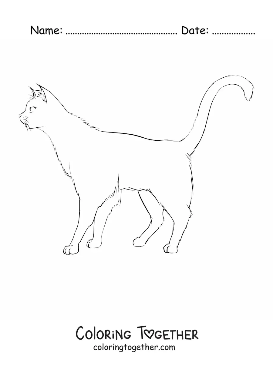 Coloring page of a cat walking