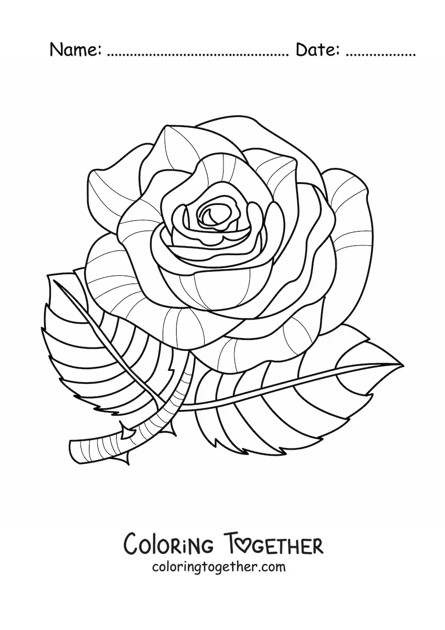 Coloring page of a large rose with leaves and thorns