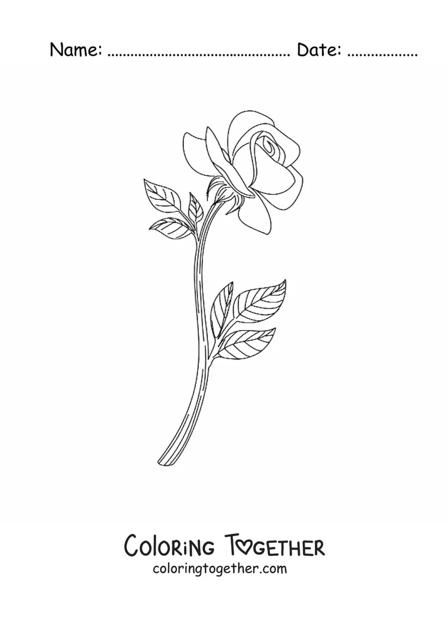 Coloring page of a small realistic rose with leaves
