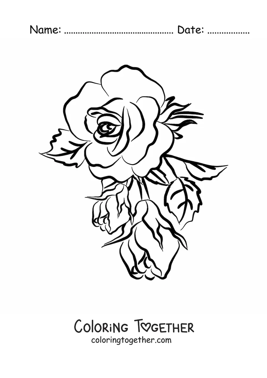 Coloring page of a large simple rose with leaves