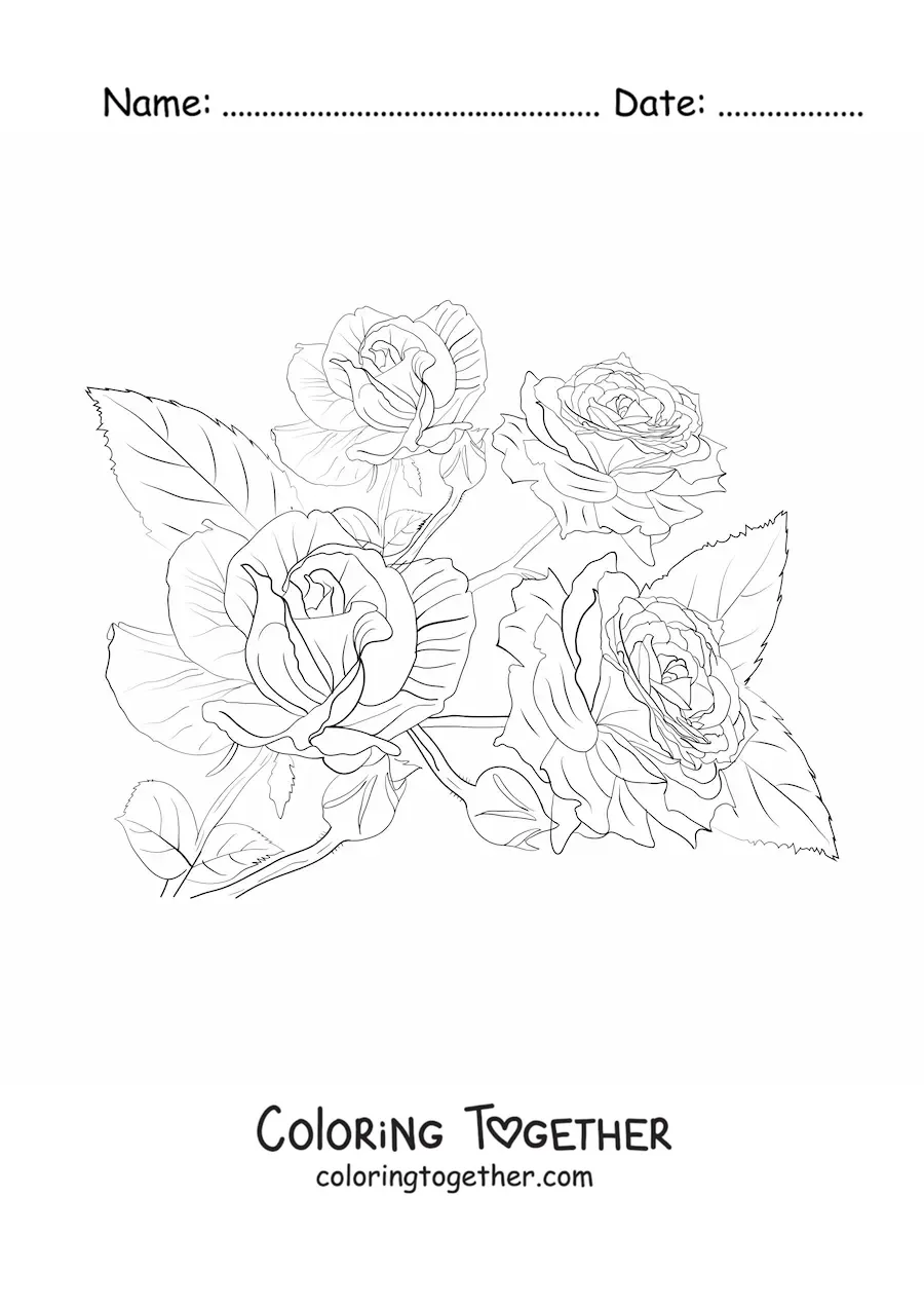 Coloring page of four pretty realistic roses with leaves