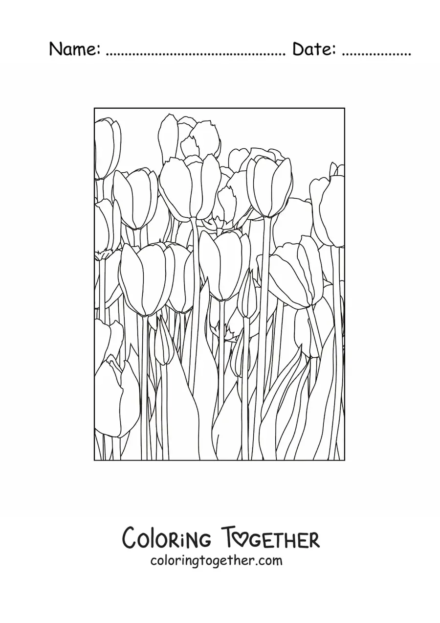 Coloring page of a field of tulips