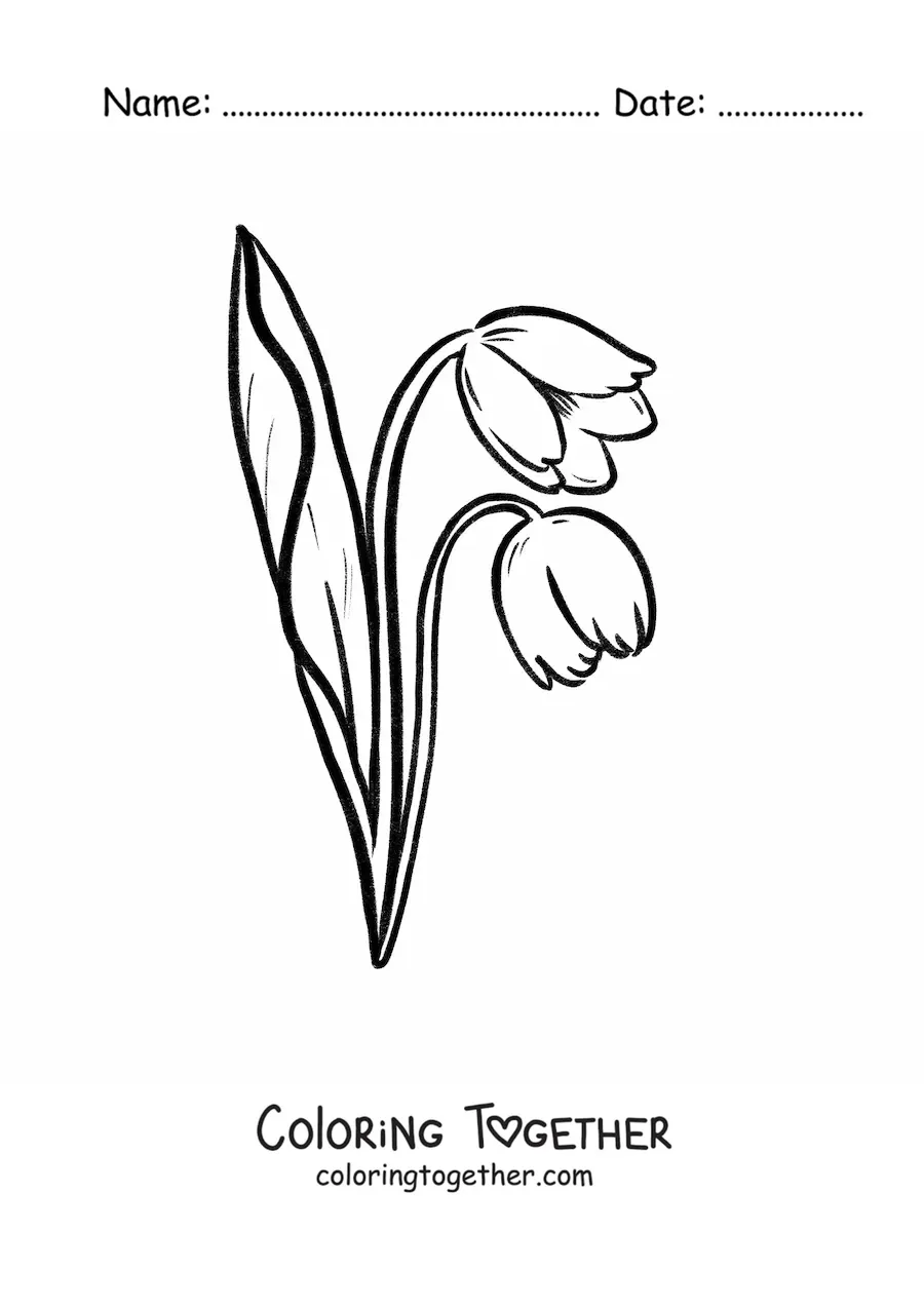 Coloring page of a pair of tulips with leaves