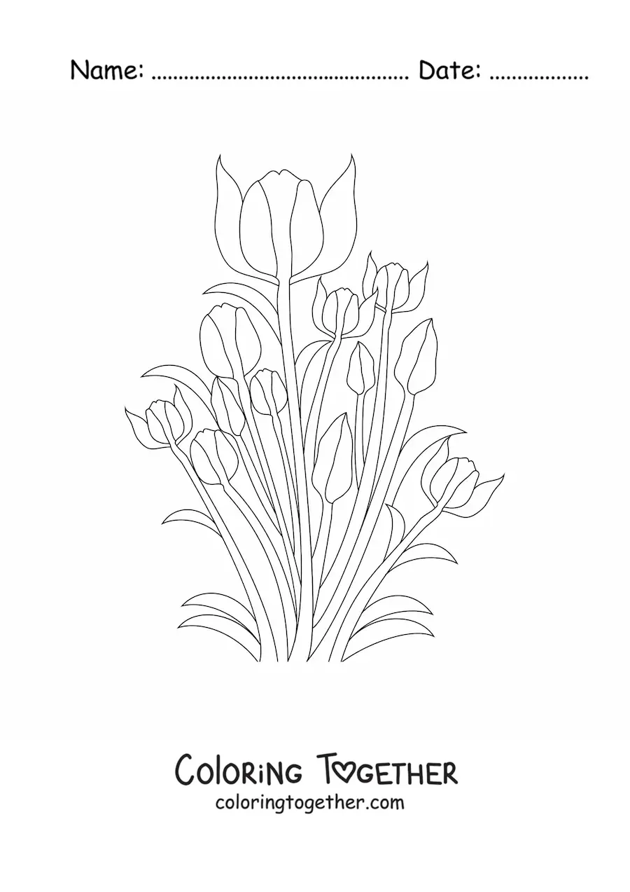 Coloring page of several tulips with leaves