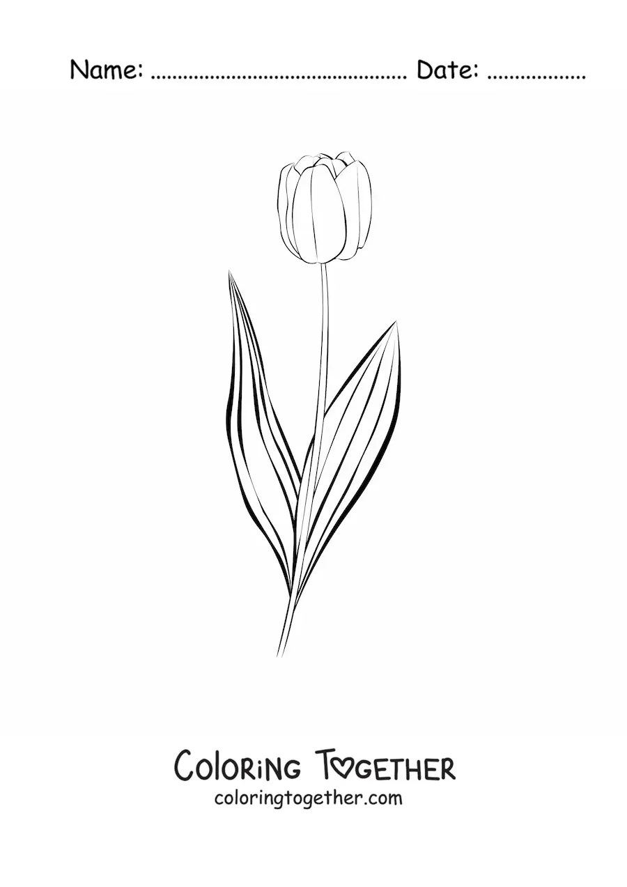 Coloring page of a small tulip with leaves