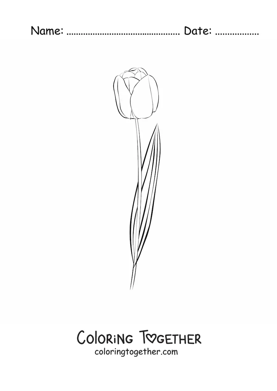 Coloring page of a small tulip with one leaf