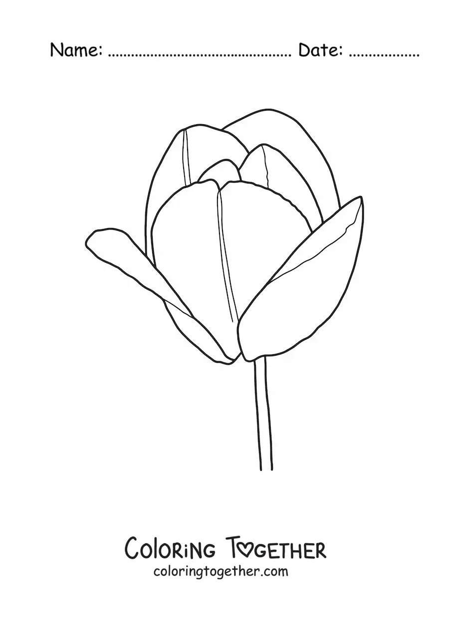 Coloring page of a large tulip