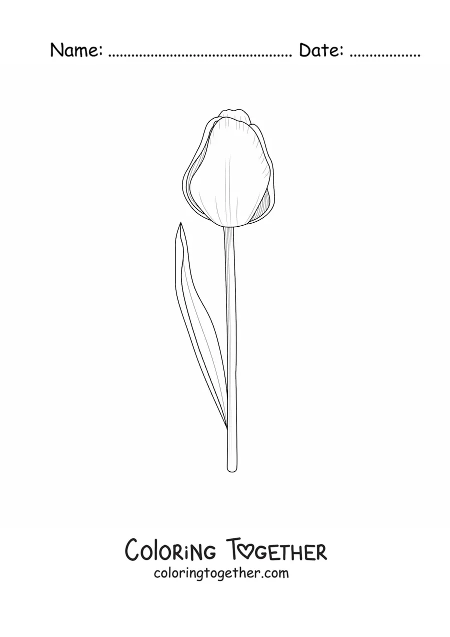 Coloring page of a tulip