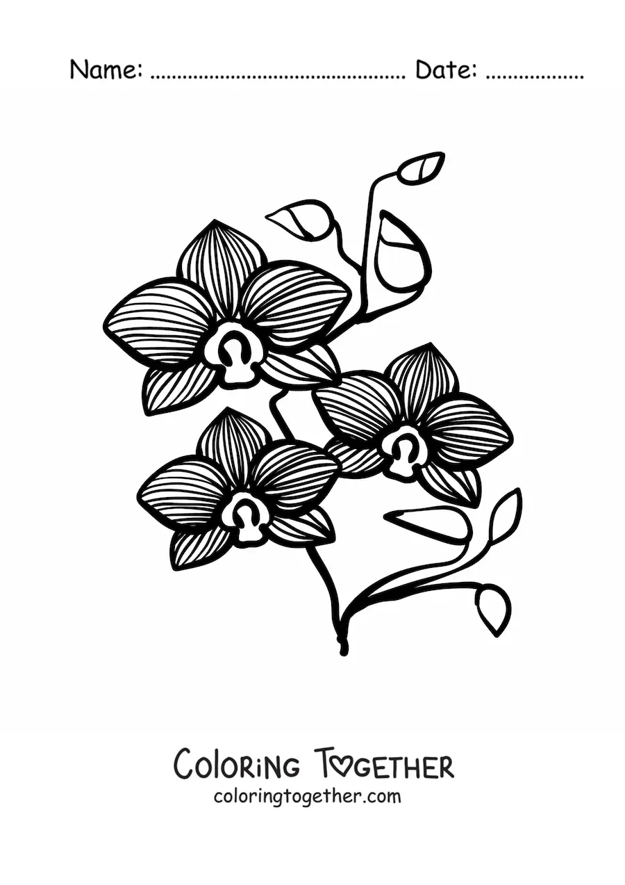 Coloring page of a branch of phalaenopsis orchids with leaves