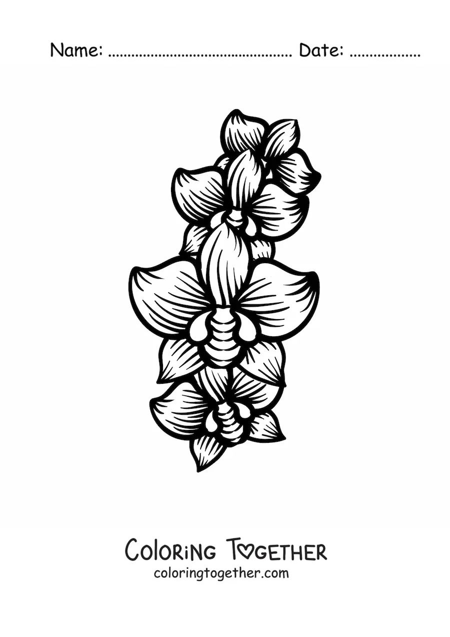 Coloring page of three large orchids