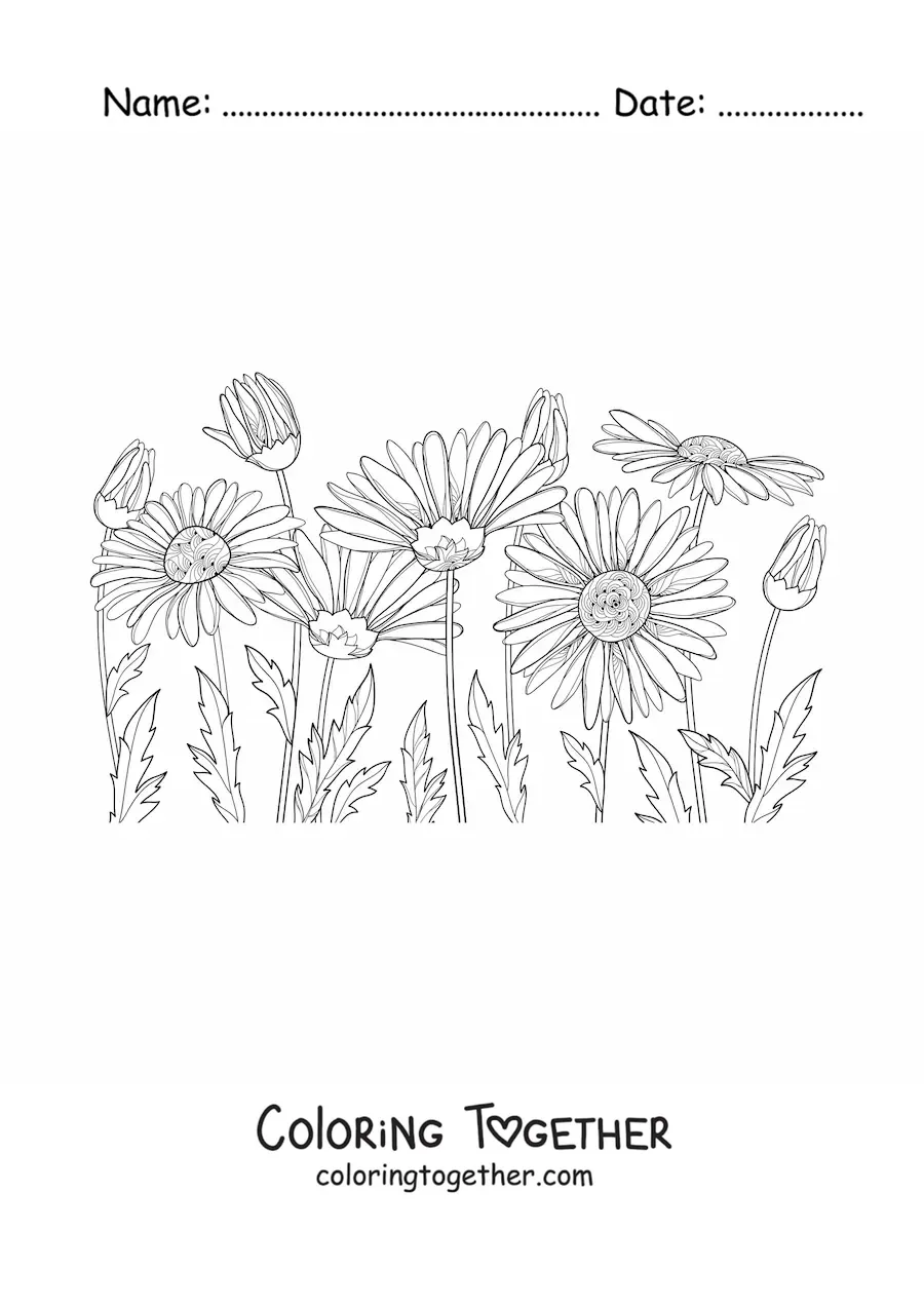 Coloring page of a field of daisies