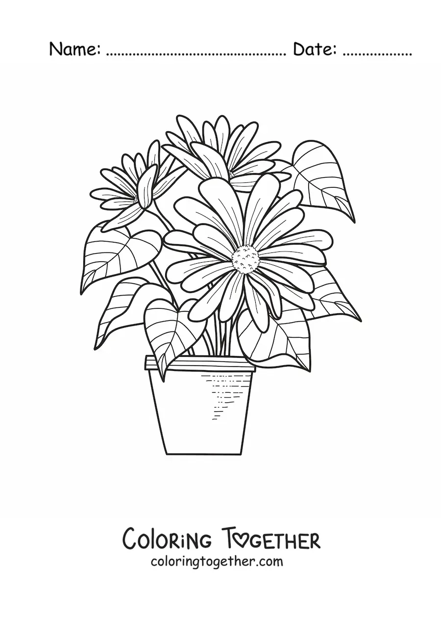 Coloring page of a flowerpot with daisies