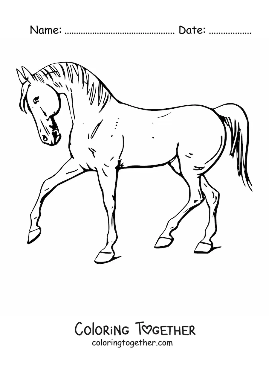 Coloring page of a horse in profile