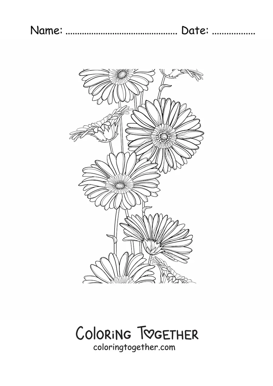 Coloring page of several daisies