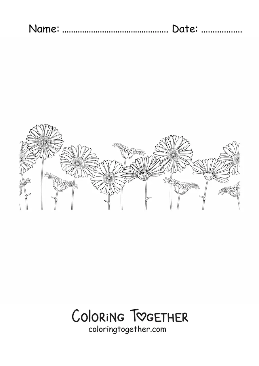 Coloring page of a field full of daisies