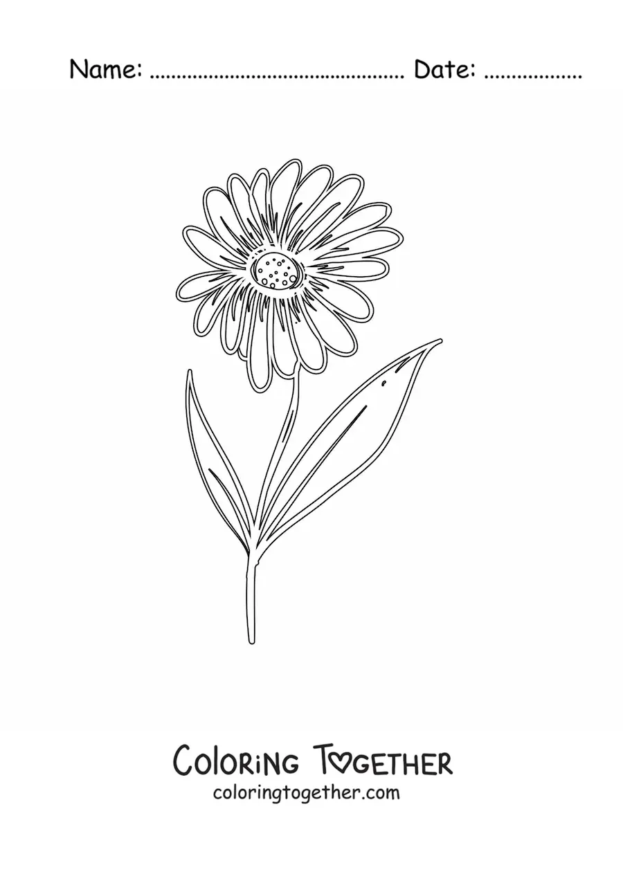Coloring page of a daisy with leaves
