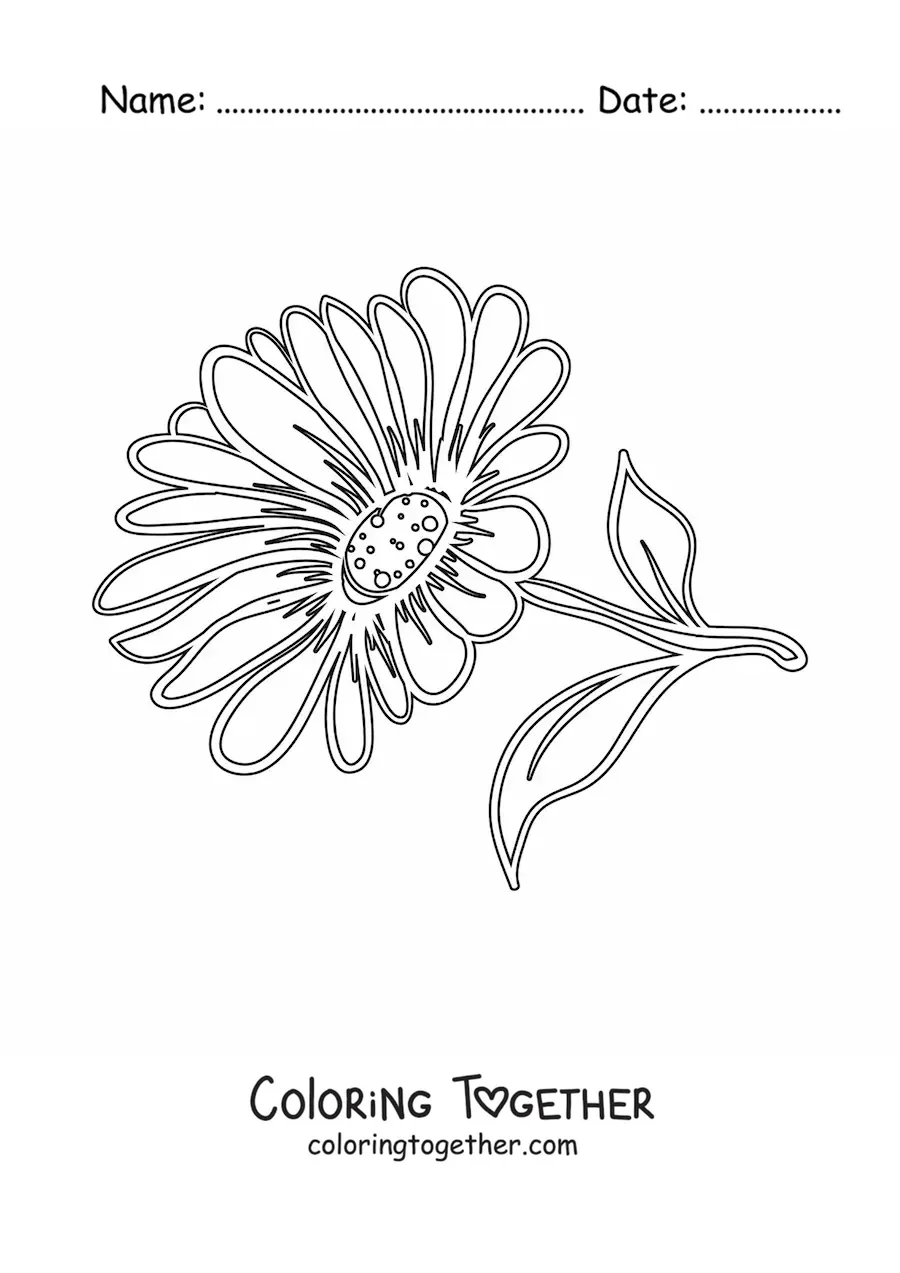 Coloring page of a daisy