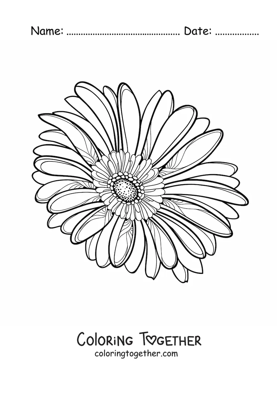 Coloring page of a large realistic daisy