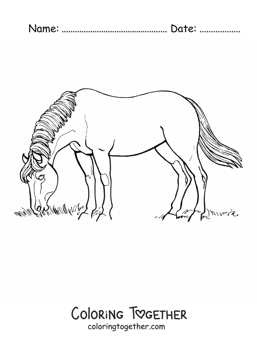 Coloring page of a horse grazing in a field