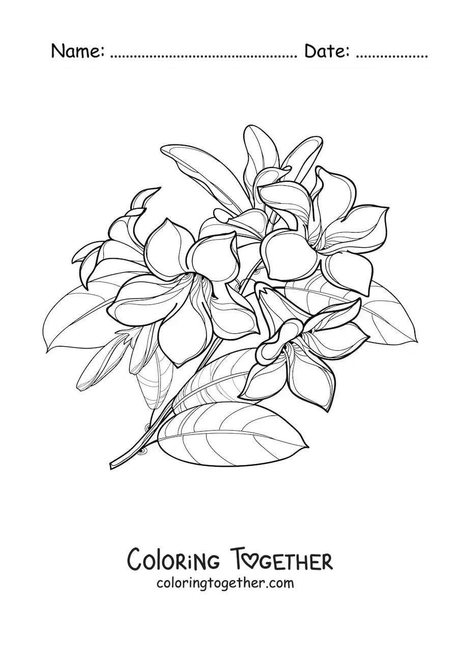 Coloring page of a bouquet of lilies with leaves