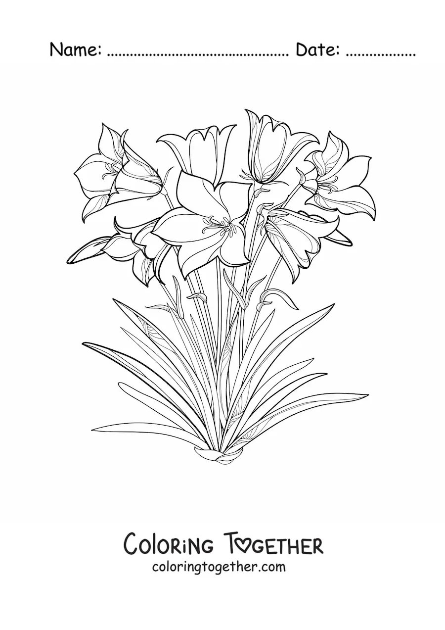 Coloring page of several lilies in the field
