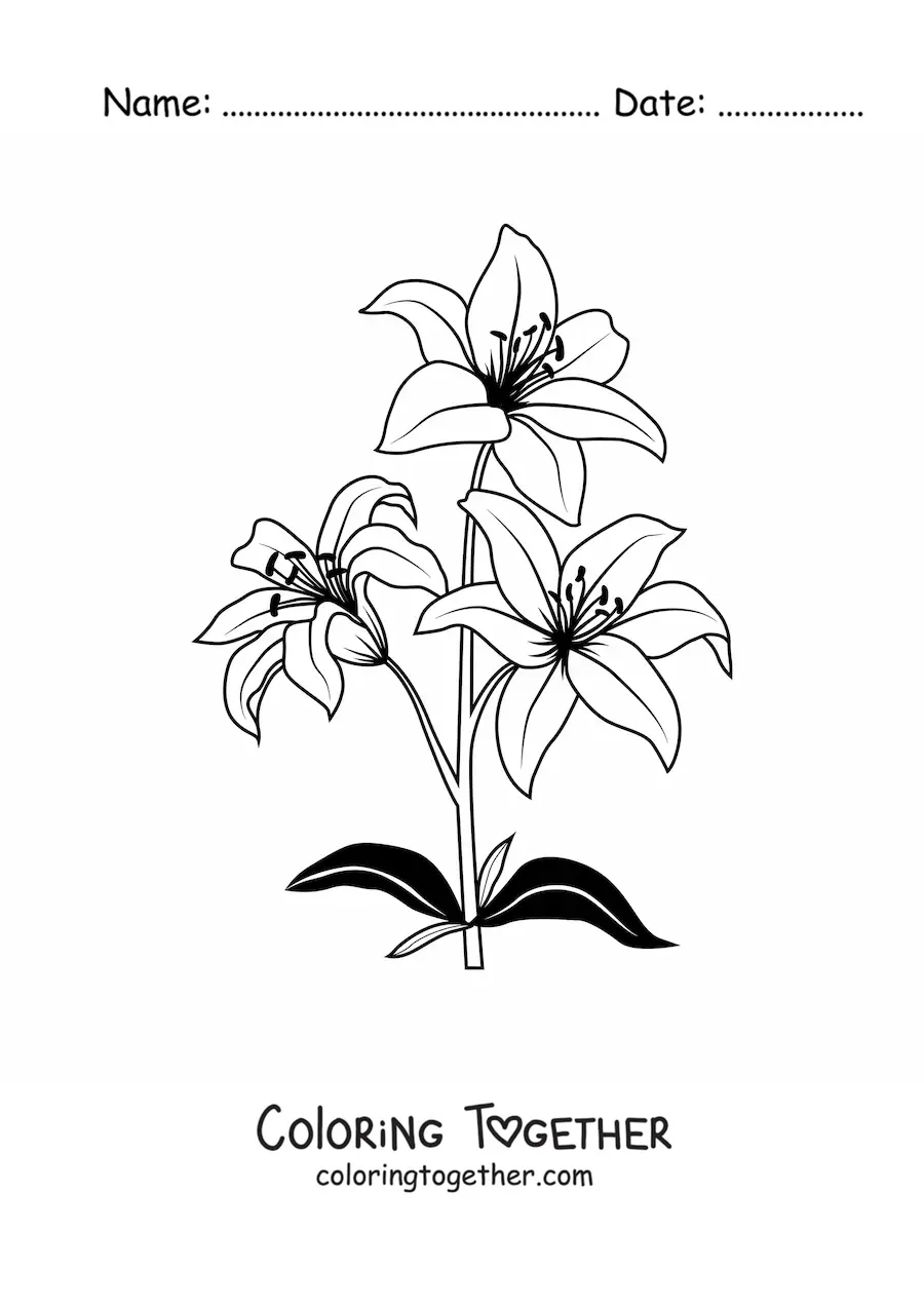 Coloring page of three lilies