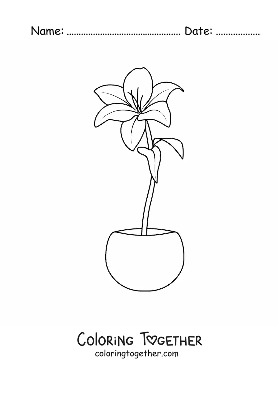 Coloring page of a lily in a flowerpot