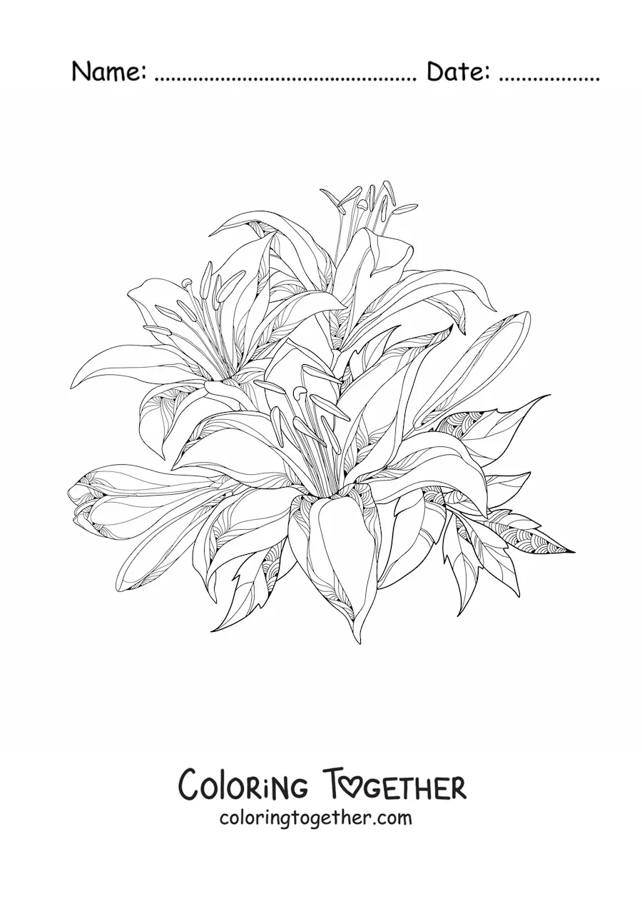 Coloring page of a cluster of realistic lilies with leaves