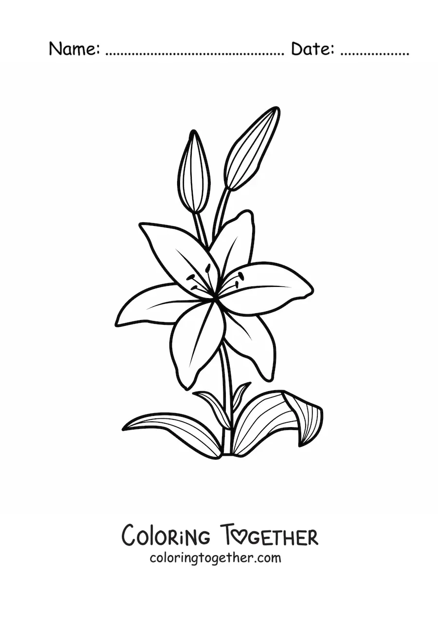 Coloring page of a simple lily with leaves