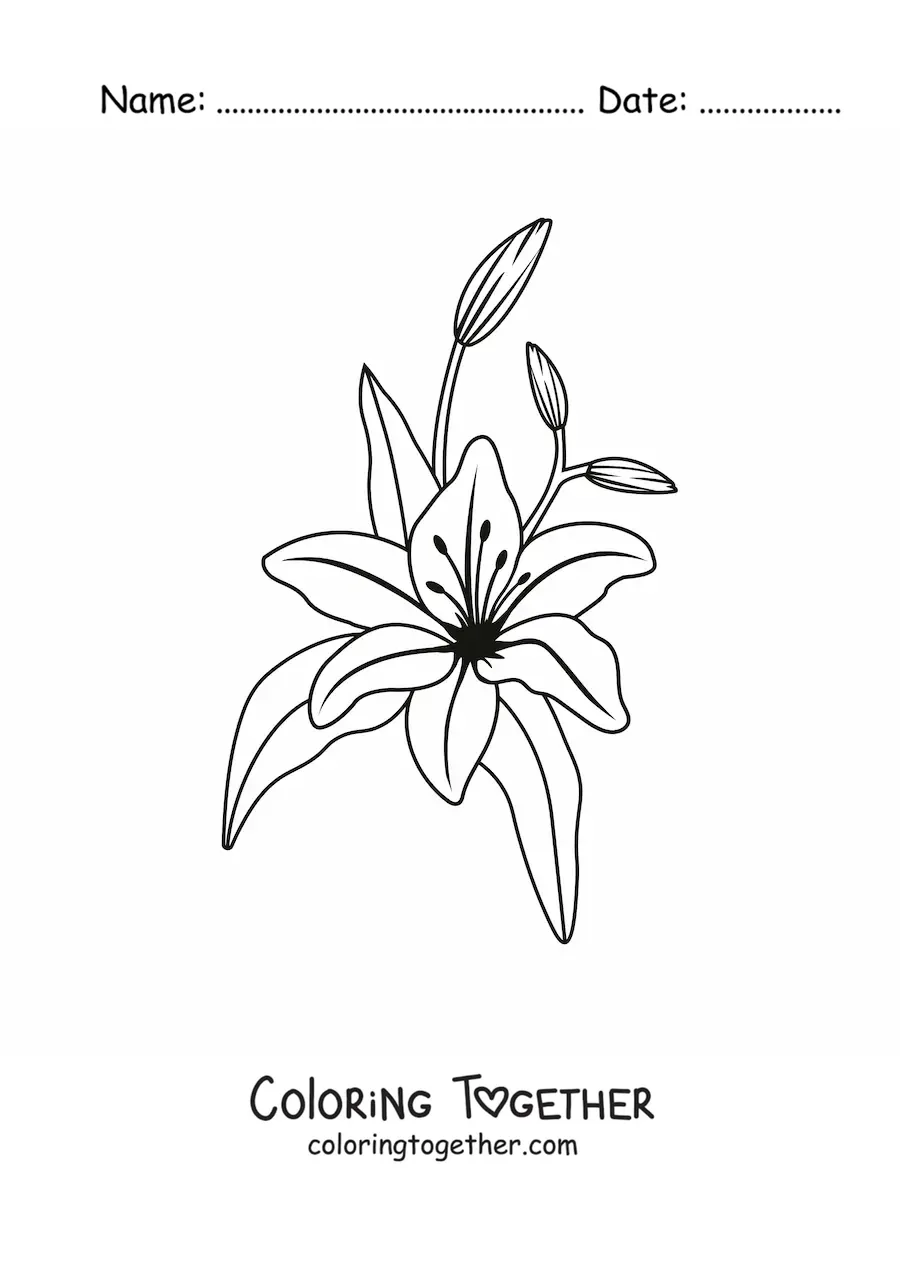 Coloring page of a lily with leaves