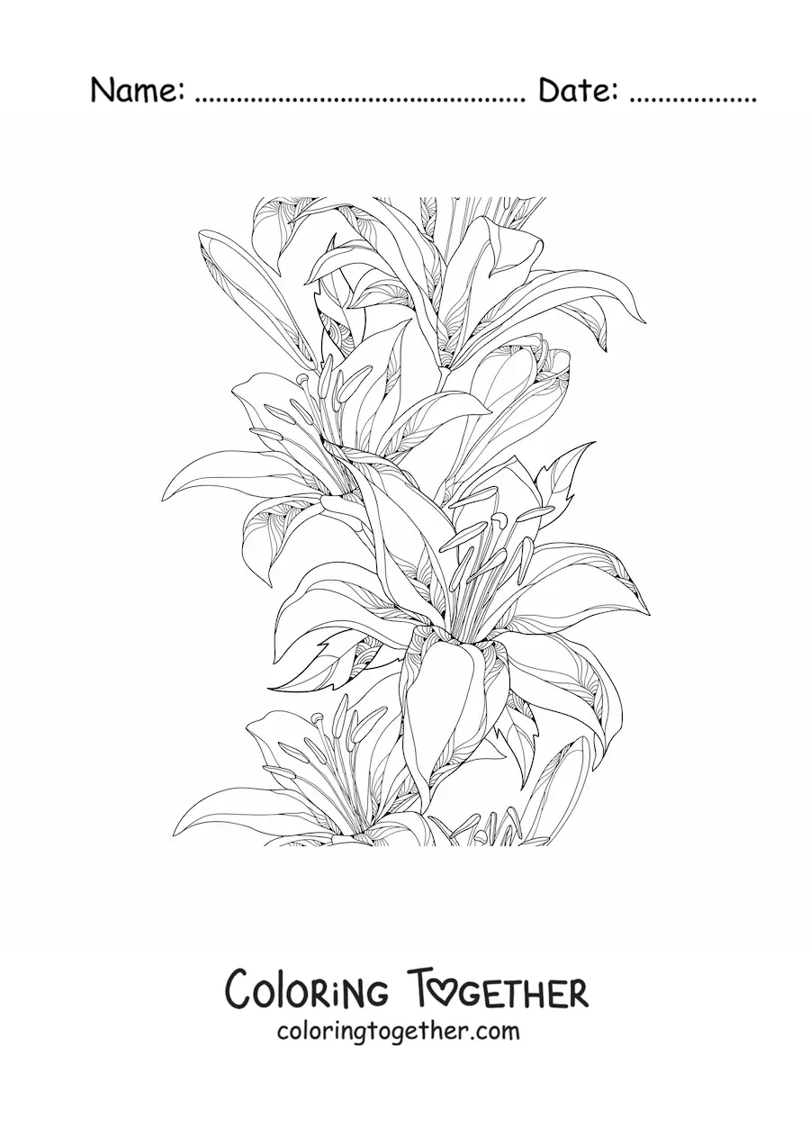 Coloring page of several realistic wild lilies
