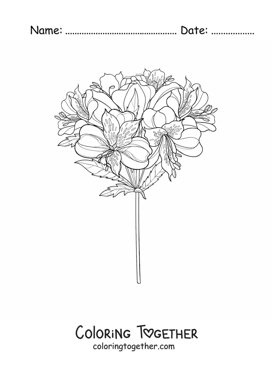 Coloring page of a bouquet of realistic lilies