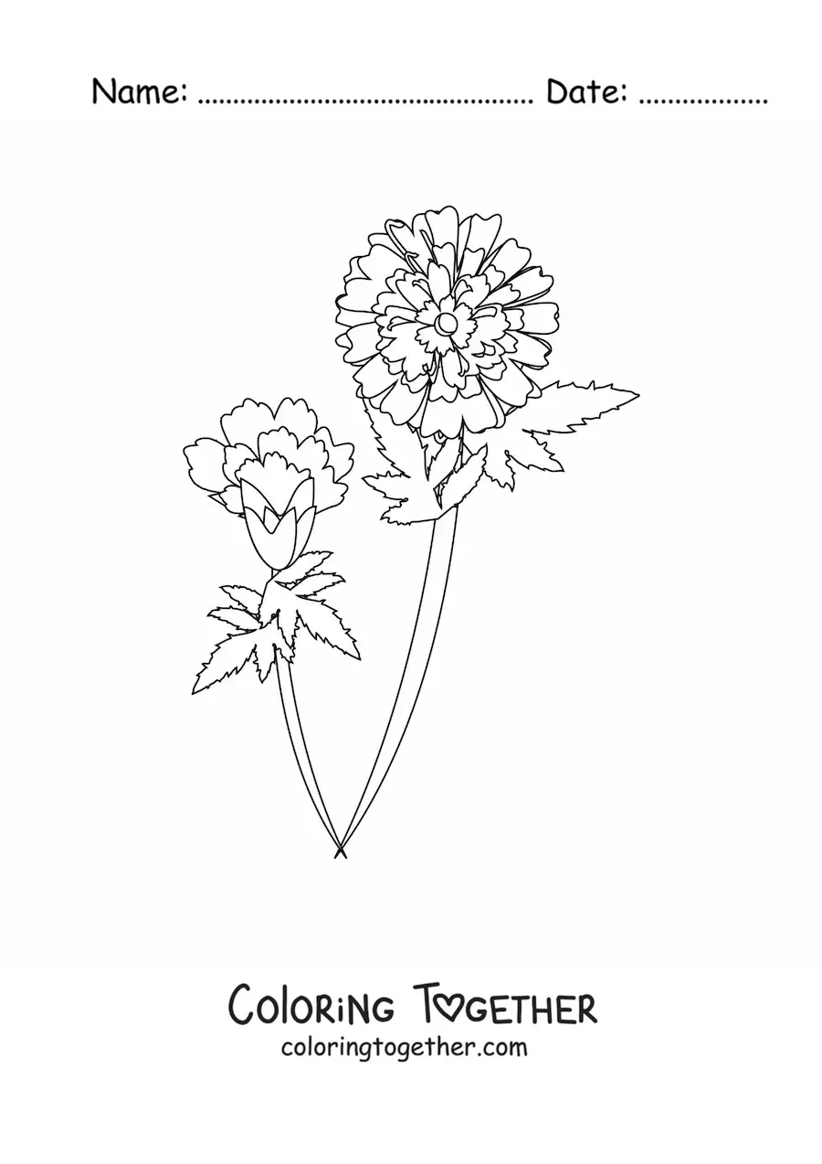 Coloring page of two carnations with leaves