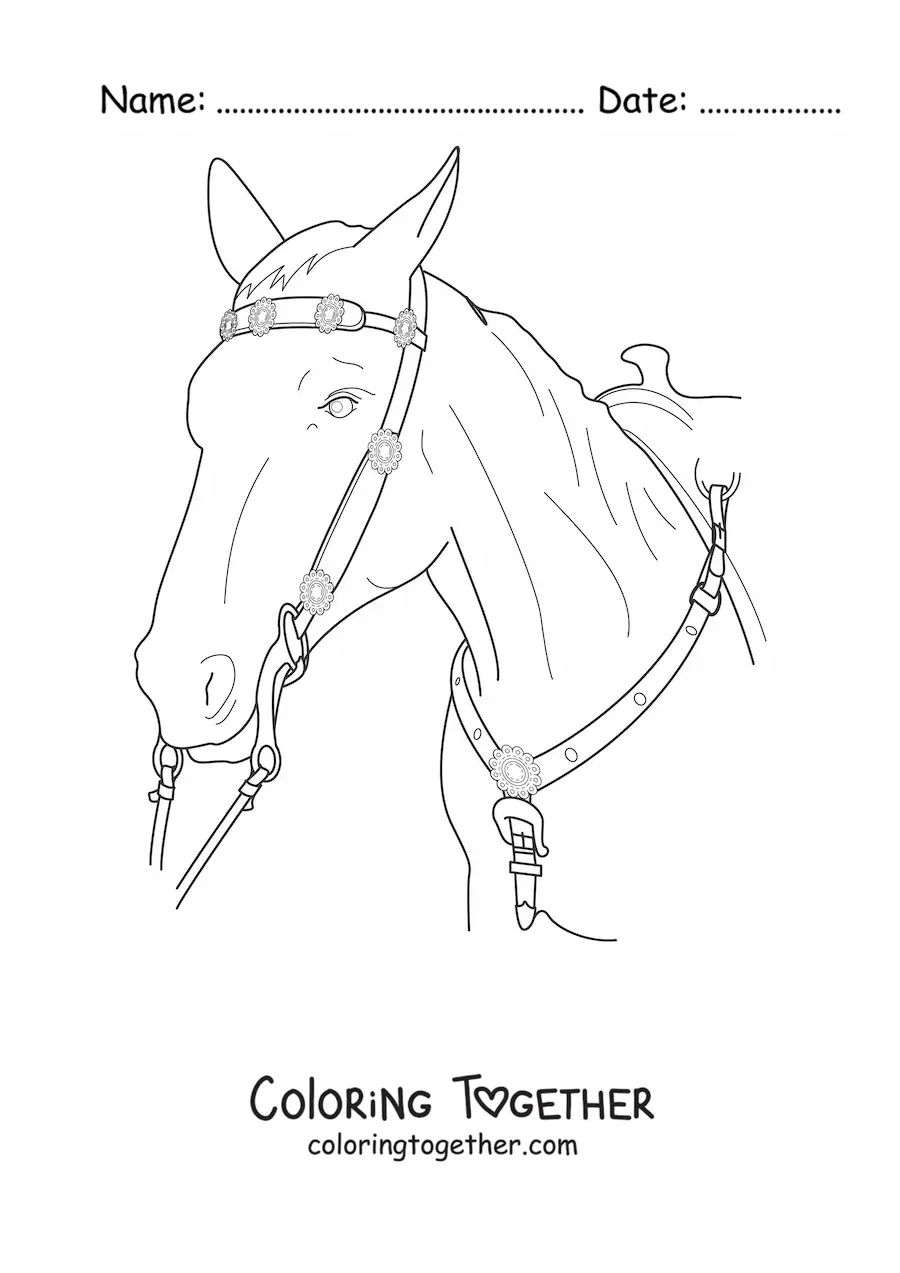Coloring page of a horse head with the reins on