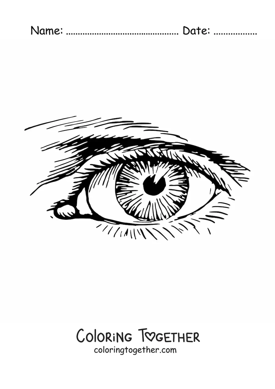 Coloring page of a realistic eye