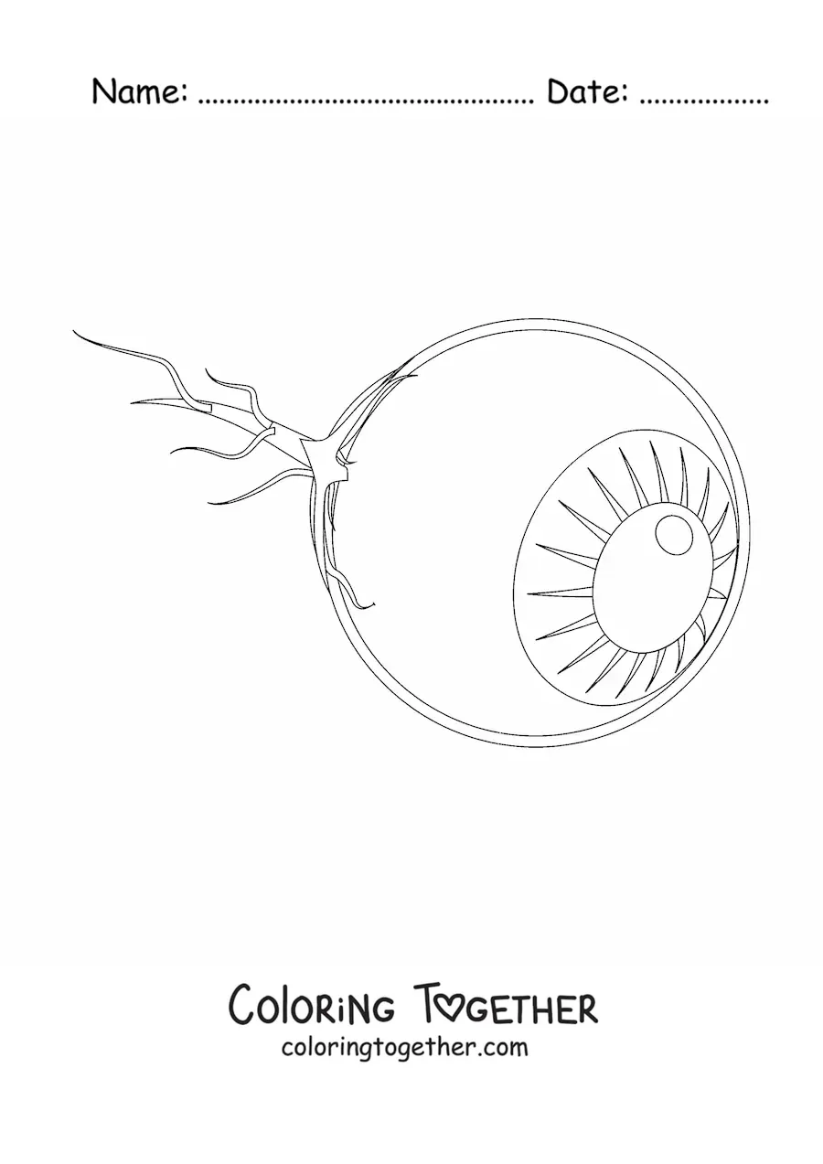 Coloring page of an eyeball