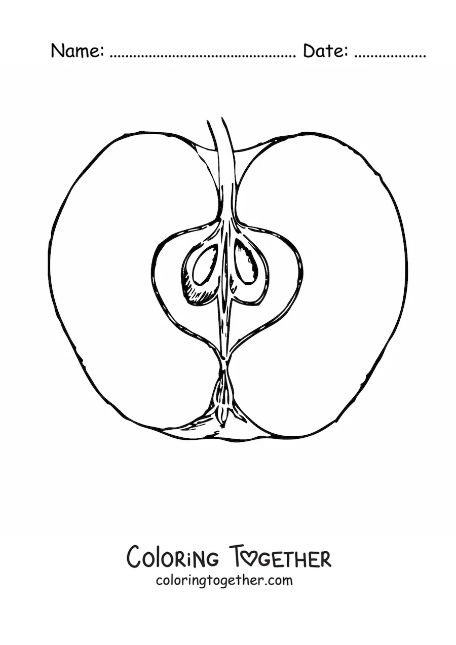 Coloring page of half an apple