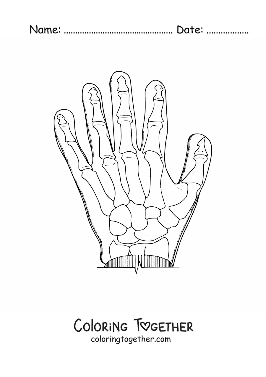Coloring page of an X-ray of a hand