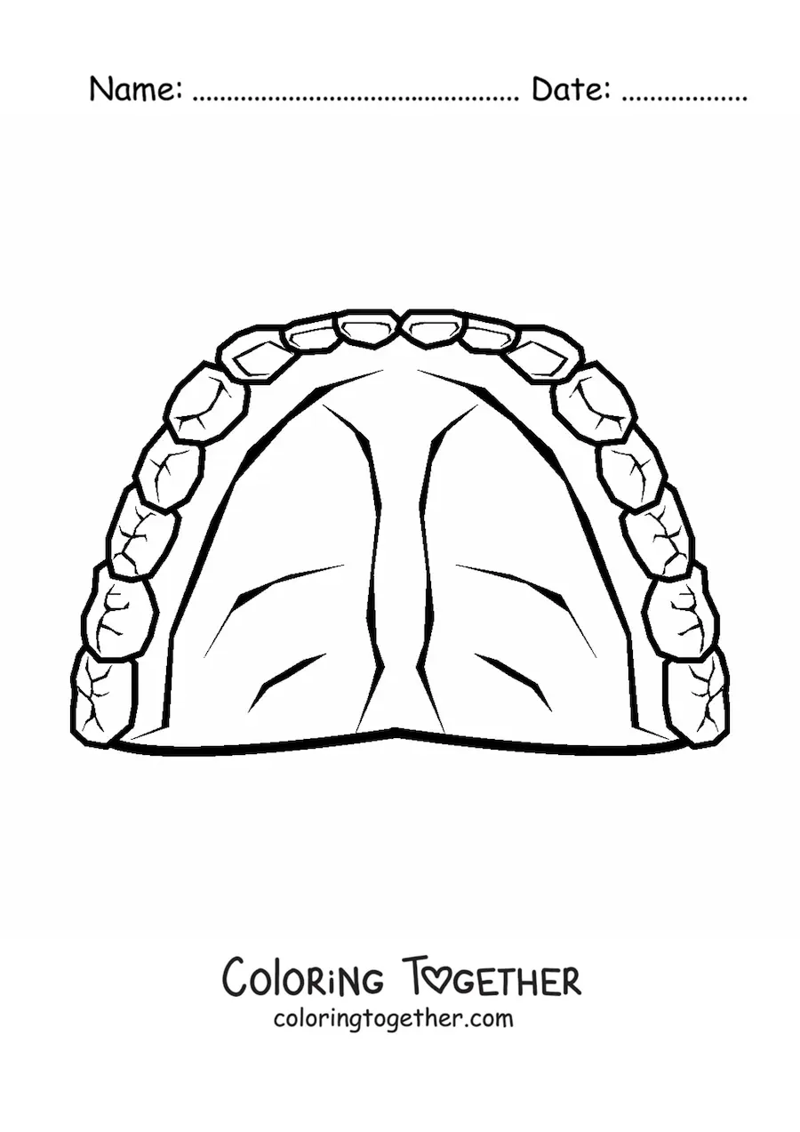 Coloring page of a human set of teeth