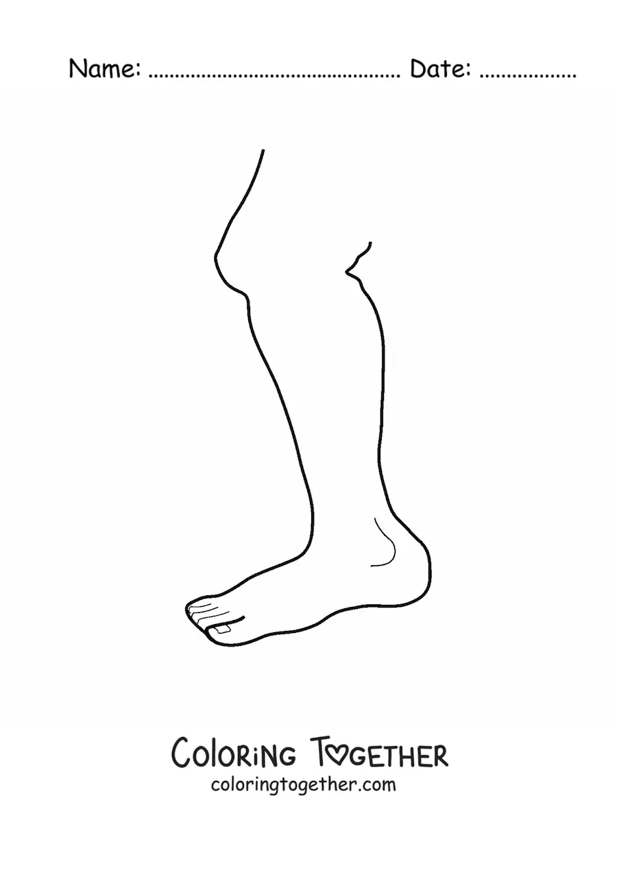 Coloring page of a leg
