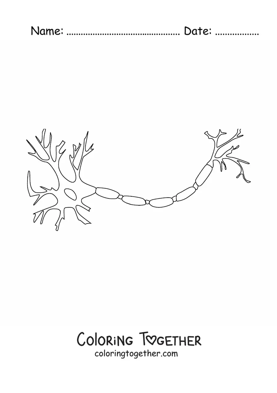 Coloring page of a neuron