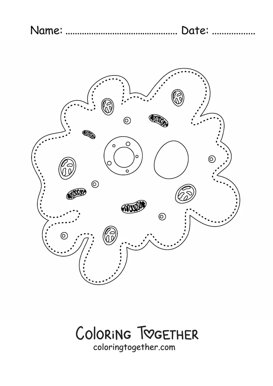 Coloring page of the parts of the cell