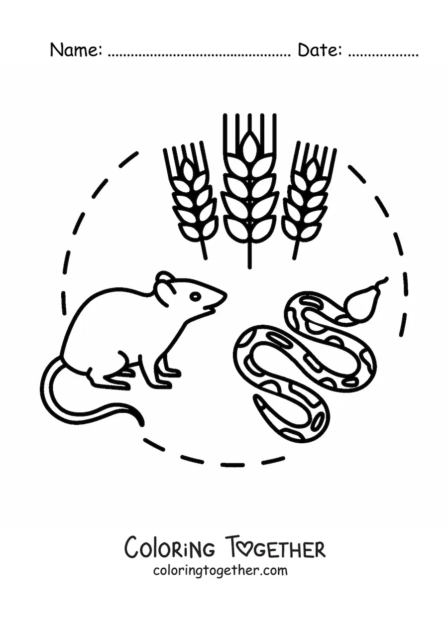 Coloring page of the terrestrial food chain